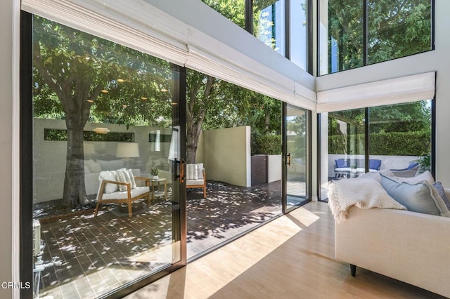 300 S Orange Grove Blvd Unit 5, Pasadena, CA 91105 - photo 8