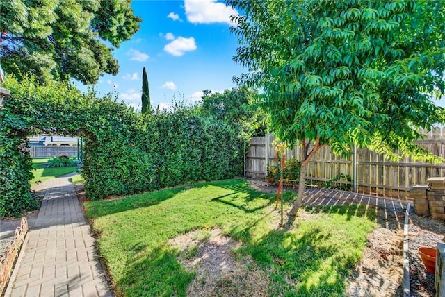 6055 Amadore, Corning, CA 96021 - photo 64