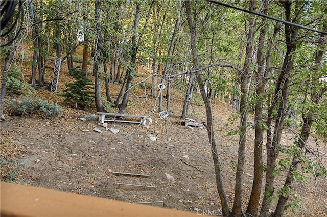 2151 Tank Rd, Arrowbear, CA 92382 - photo 23