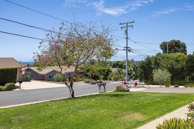1440 Forest Ave, Carlsbad, CA 92008 - photo 33