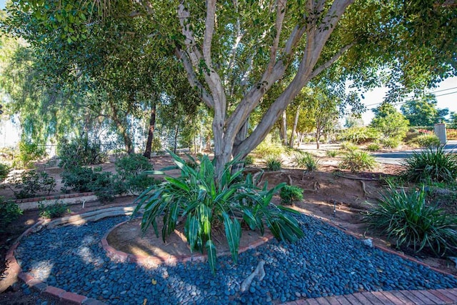 2730 Mountain View Dr, Escondido, CA 92027 - photo 37