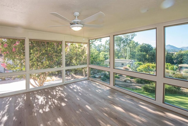 2730 Mountain View Dr, Escondido, CA 92027 - photo 19