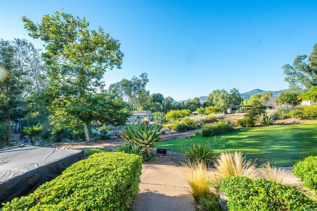 2730 Mountain View Dr, Escondido, CA 92027 - photo 41