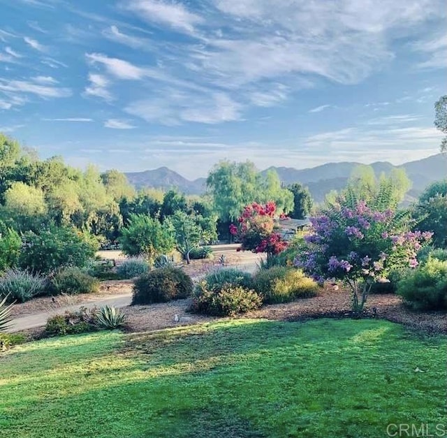 2730 Mountain View Dr, Escondido, CA 92027 - photo 54