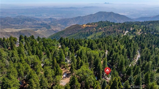 31358 Lightfoot Way, Running Springs, CA 92382 - photo 30
