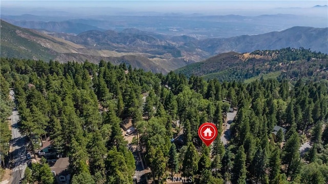 31358 Lightfoot Way, Running Springs, CA 92382 - photo 2