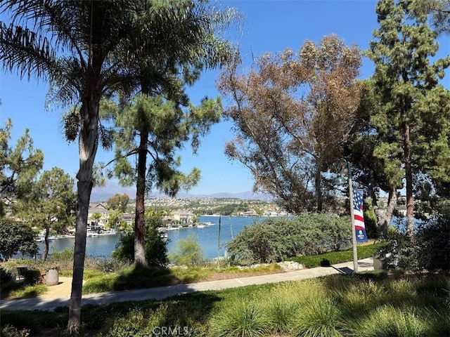 21881 Bacalar, Mission Viejo, CA 92691 - photo 34
