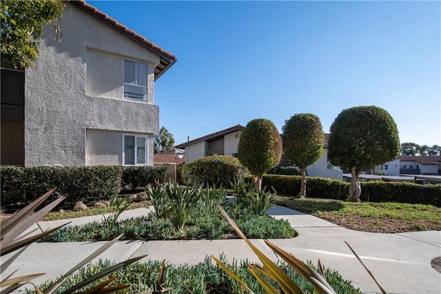 66 Corniche Dr Unit D, Dana Point, CA 92629 - photo 50