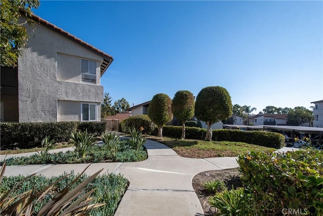 66 Corniche Dr Unit D, Dana Point, CA 92629 - photo 51