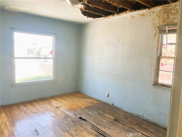9947 Norwich Ave, San Fernando, CA 91345 - photo 9