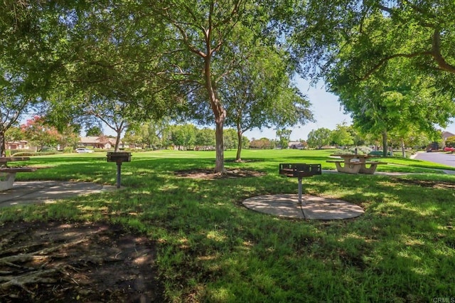 744 Inverlochy Dr, Fallbrook, CA 92028 - photo 73