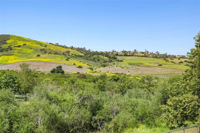 31 Black Hawk, Irvine, CA 92603 - photo 42