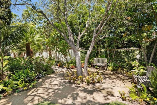 31 Black Hawk, Irvine, CA 92603 - photo 36