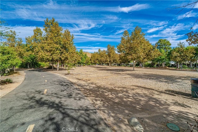 20073 Edgewater Dr, Canyon Country, CA 91351 - photo 36
