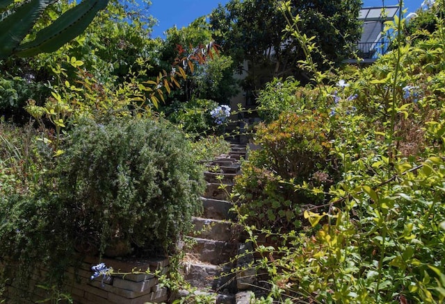 4358 Proctor Pl, San Diego, CA 92116 - photo 29