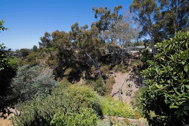 4358 Proctor Pl, San Diego, CA 92116 - photo 18