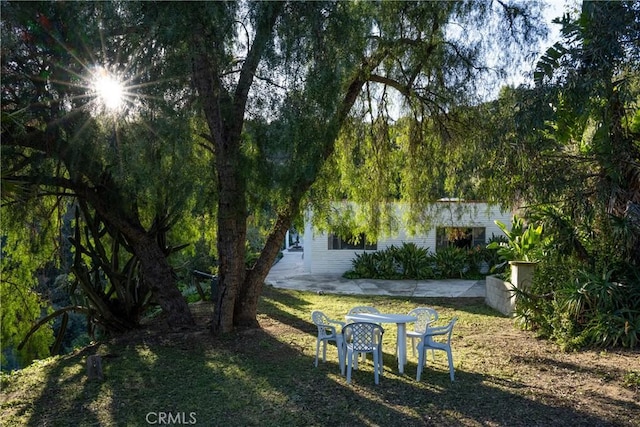 16757 Hillside Dr, Chino Hills, CA 91709 - photo 21