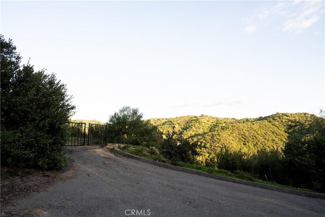 16757 Hillside Dr, Chino Hills, CA 91709 - photo 20