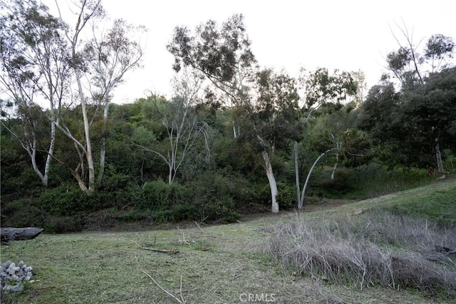16757 Hillside Dr, Chino Hills, CA 91709 - photo 22