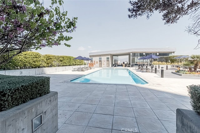 3785 Wilshire Blvd Unit 1001, Los Angeles, CA 90010 - photo 24