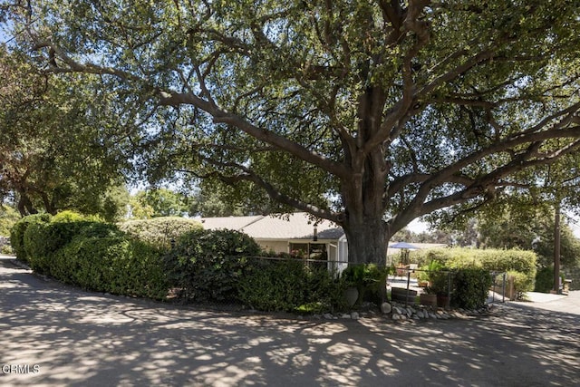3624 Leilani Way, Altadena, CA 91001 - photo 15