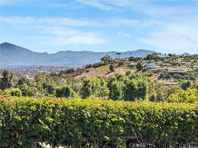 30902 Clubhouse Dr Unit 21C, Laguna Niguel, CA 92677 - photo 47