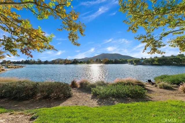27031 N Bay Ln, Menifee, CA 92585 - photo 41