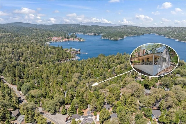 193 Heliotrope Dr, Lake Arrowhead, CA 92352 - photo 1