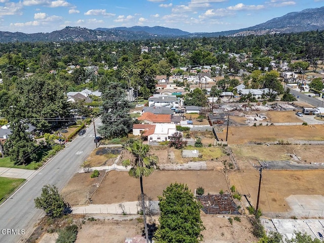 797 New York Dr, Altadena, CA 91001 - photo 15