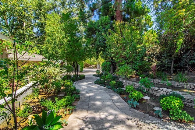 4809 Hasekian Dr, Tarzana, CA 91356 - photo 6