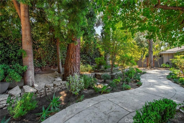 4809 Hasekian Dr, Tarzana, CA 91356 - photo 5