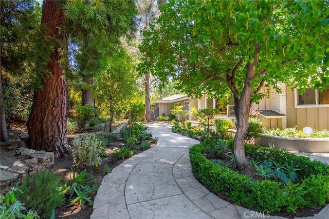 4809 Hasekian Dr, Tarzana, CA 91356 - photo 1