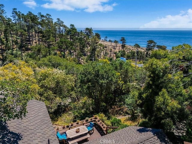 1680 Newhall Ave, Cambria, CA 93428 - photo 60