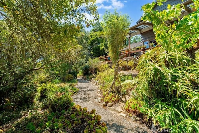 1680 Newhall Ave, Cambria, CA 93428 - photo 54