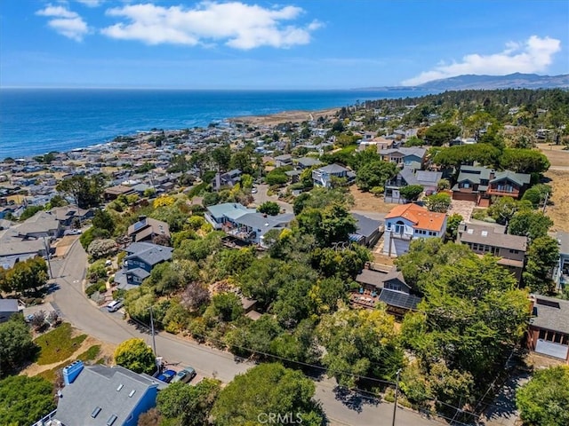 1680 Newhall Ave, Cambria, CA 93428 - photo 56