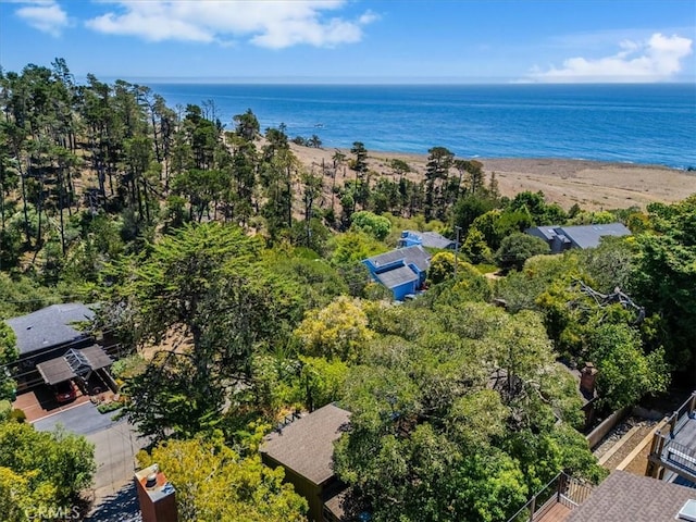 1680 Newhall Ave, Cambria, CA 93428 - photo 59