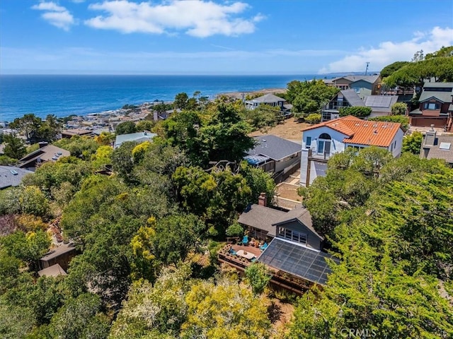 1680 Newhall Ave, Cambria, CA 93428 - photo 57