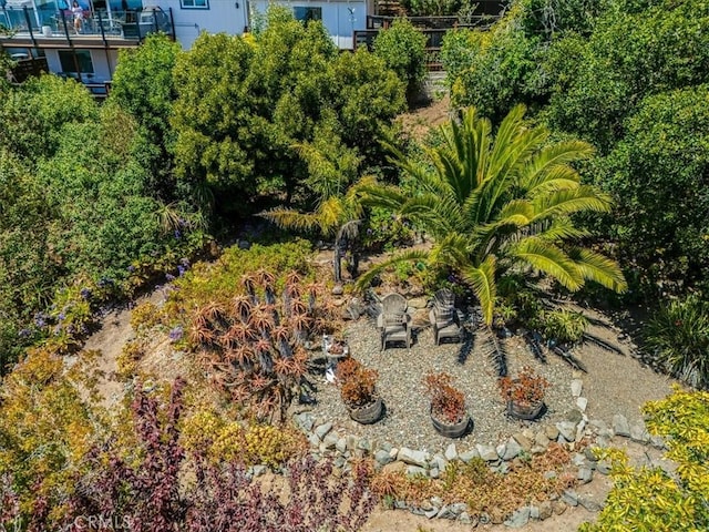 1680 Newhall Ave, Cambria, CA 93428 - photo 61