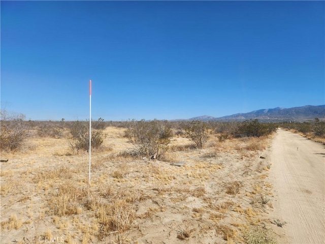 40AC Pomona Rd, Pinon Hills, CA 92372 - photo 5