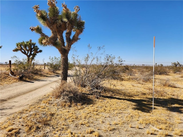 40AC Pomona Rd, Pinon Hills, CA 92372 - photo 6