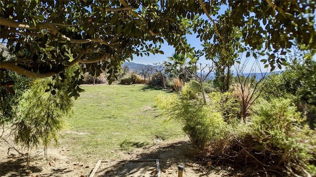 4430 Rosebank Dr, La Canada Flintridge, CA 91011 - photo 64