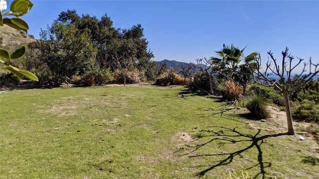 4430 Rosebank Dr, La Canada Flintridge, CA 91011 - photo 62