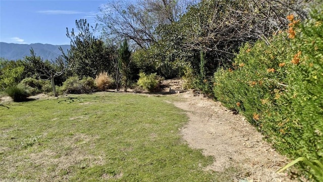 4430 Rosebank Dr, La Canada Flintridge, CA 91011 - photo 61