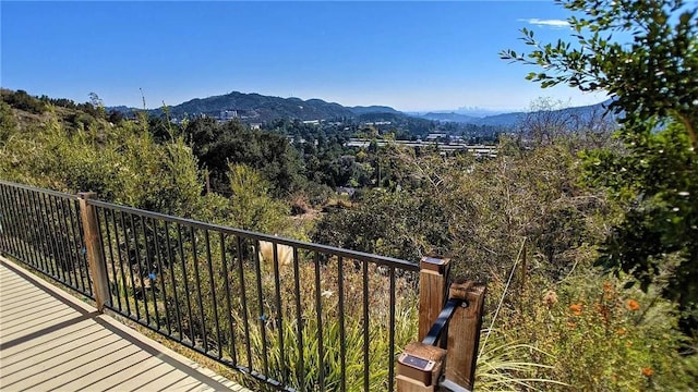 4430 Rosebank Dr, La Canada Flintridge, CA 91011 - photo 69