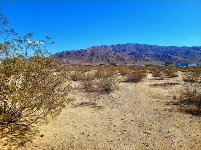 73485 Old Dale Rd Unit 29, Palms, CA 92277 - photo 5