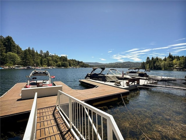 27589 W Shore Rd, Lake Arrowhead, CA 92352 - photo 58