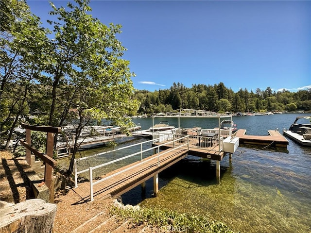 27589 W Shore Rd, Lake Arrowhead, CA 92352 - photo 59