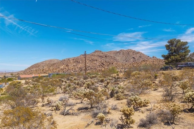 61851 Sunburst Cir, Joshua Tree, CA 92252 - photo 32