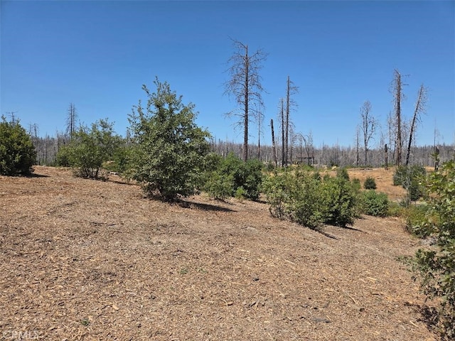 1090 Bald Rock Rd, Berry Creek, CA 95916 - photo 9