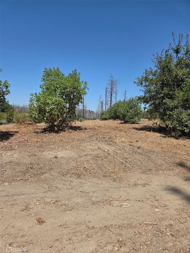 1090 Bald Rock Rd, Berry Creek, CA 95916 - photo 5